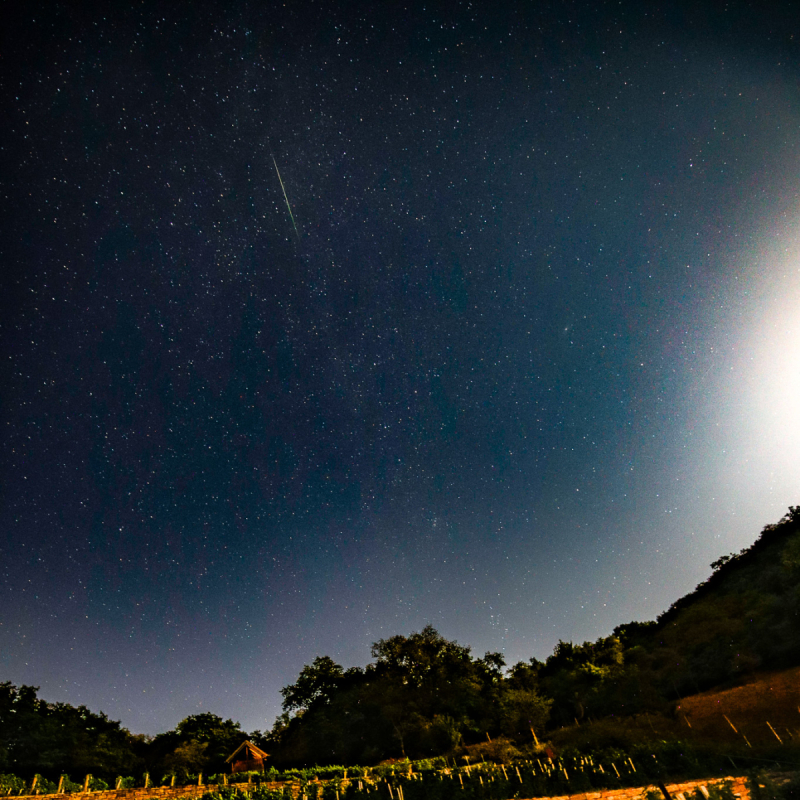 ©2025 Richard Schober